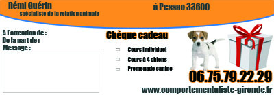chq-kdo-small