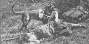 chien sanitaire 1ere guerre mondiale